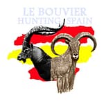Yann LeBouvier Logo