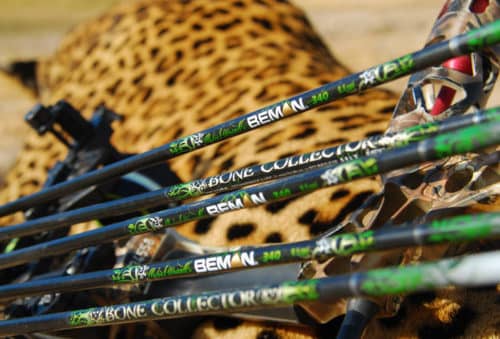 hunting picture-beekman-arrows-leopard