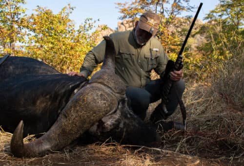 hunting picture-respect-cape-buffalo-roger-whittall-safaris