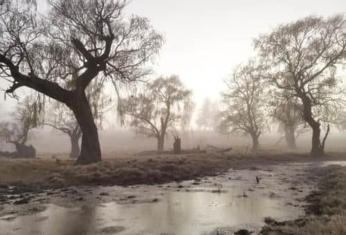 hunting picture-freestate-winter-somerby-safaris