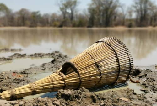 hunting picture-zambian-fishing-trap