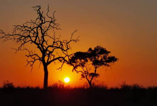 hunting picture-african-sunset