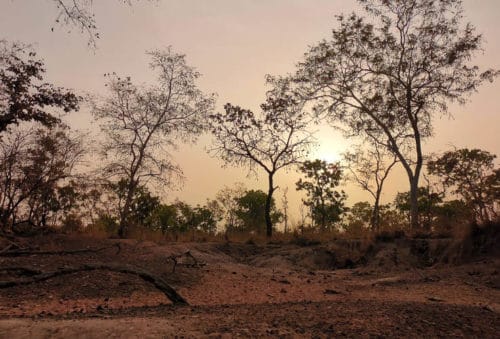 hunting picture-salt-lick-cameroon-savannah