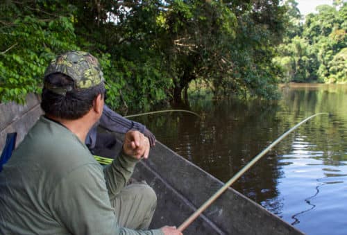 hunting picture - fishing-in-cameroon-rainforest