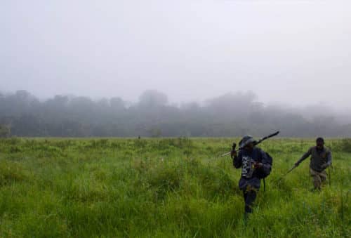 Hunting pictures - Cameroon rainforest - Mayo Oldiri