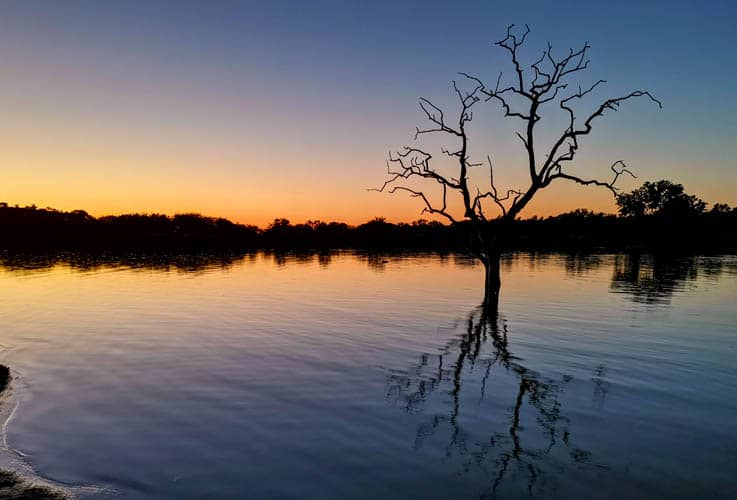 hunting picture-reflections-acacia-tree